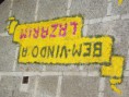 /album/tapete-de-flores-para-a-recep%c3%a7%c3%a3o-do-sr-d-antonio-couto/dscf4760-jpg/
