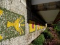 /album/tapete-de-flores-para-a-recep%c3%a7%c3%a3o-do-sr-d-antonio-couto/dscf4776-jpg/